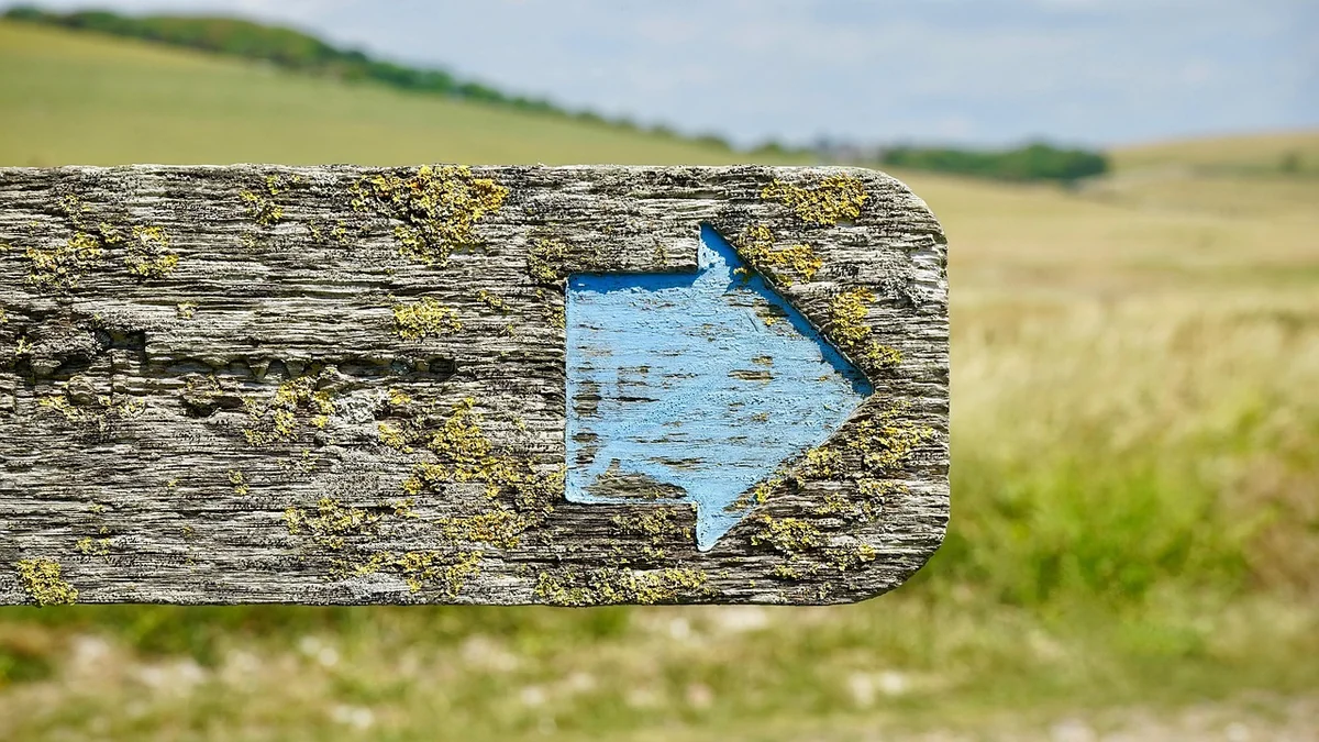 Les 3 erreurs fatales que j'ai vues sur le terrain