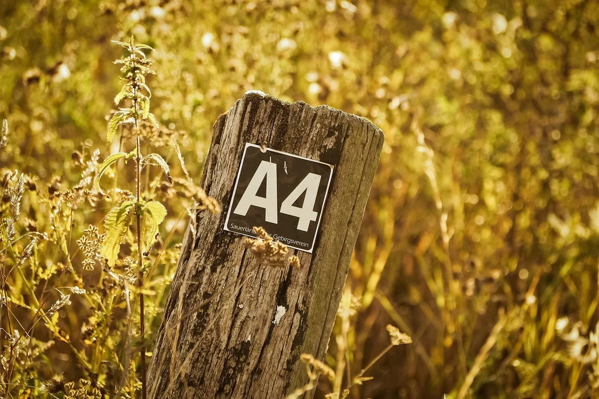 Comment obtenir un relevé d'information direct assurance en 2026 facilement