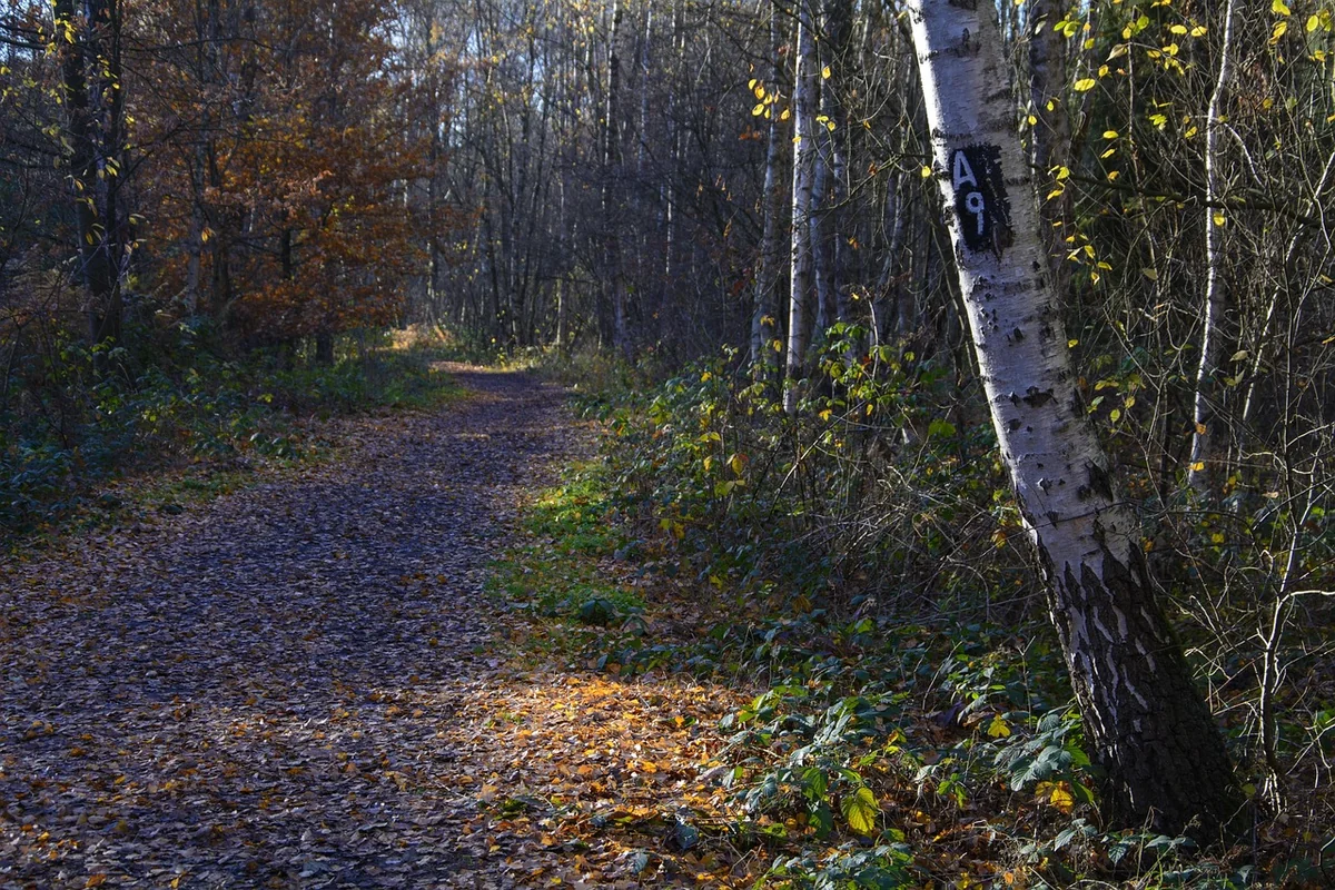 Le premier rempart : la confidentialité maîtrisée